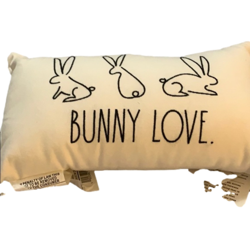 𝅺RAE Dunn "Bunny Love” Cushion - NWT